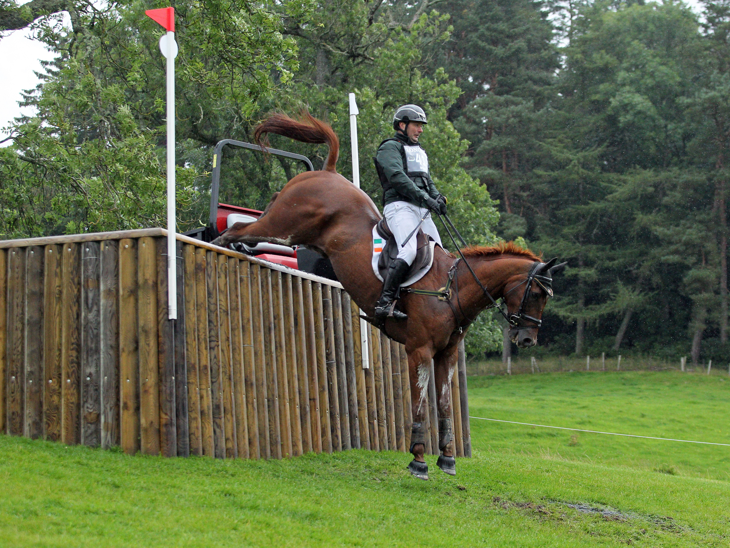 Ballylynch Adventure jumping a double clear at the European Championships at Blair Castle ridden by Mike Ryan