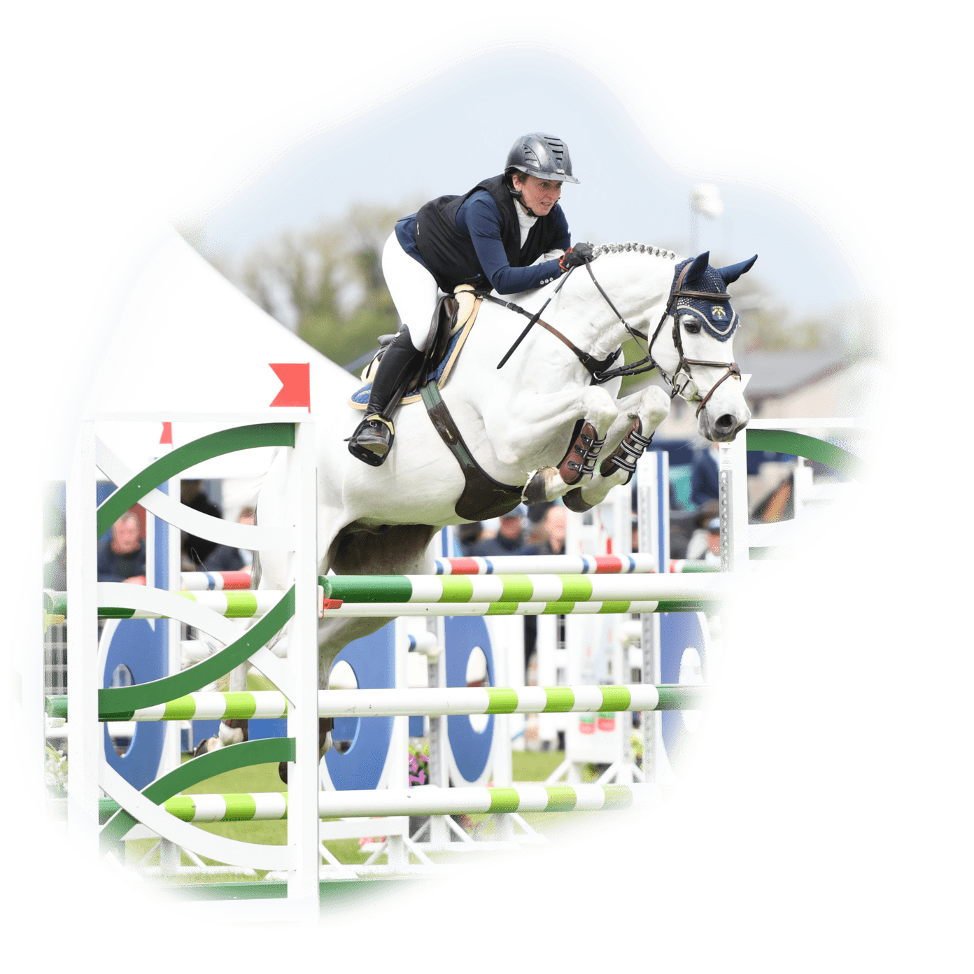 horse image