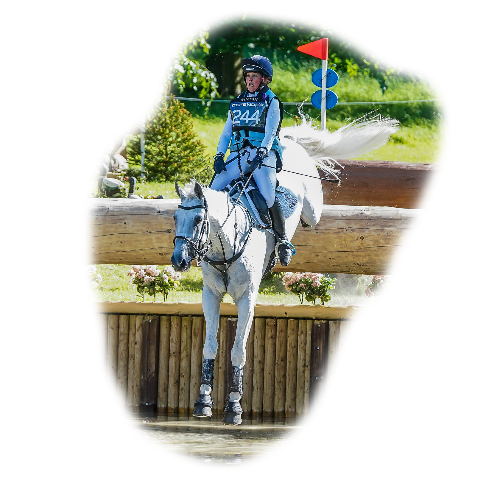 horse image