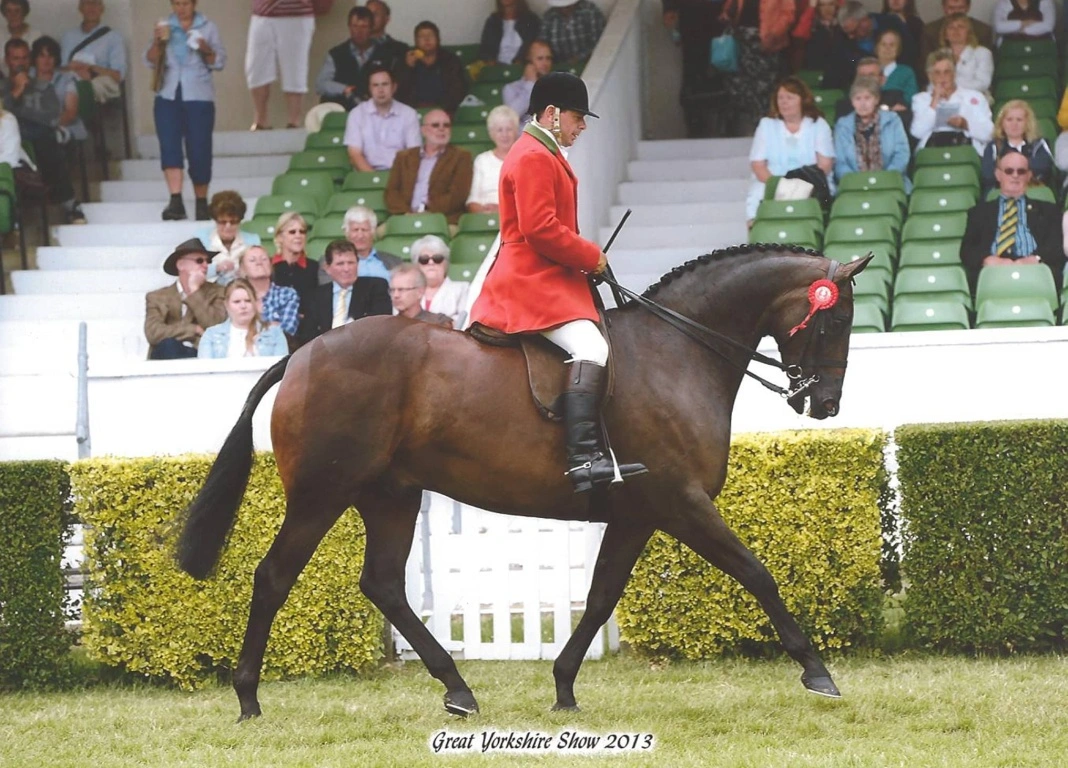 Robert and Party Time Win TopSpec Supreme Ridden Championship