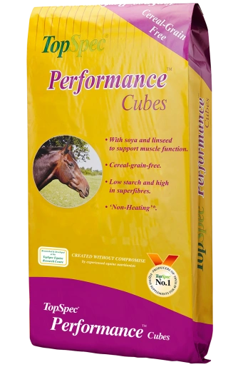 Performance Cubes