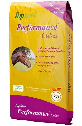 Performance Cubes