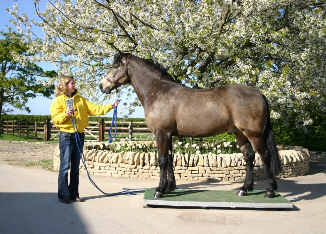 Delivering Nutritional Excellence to Your Yard