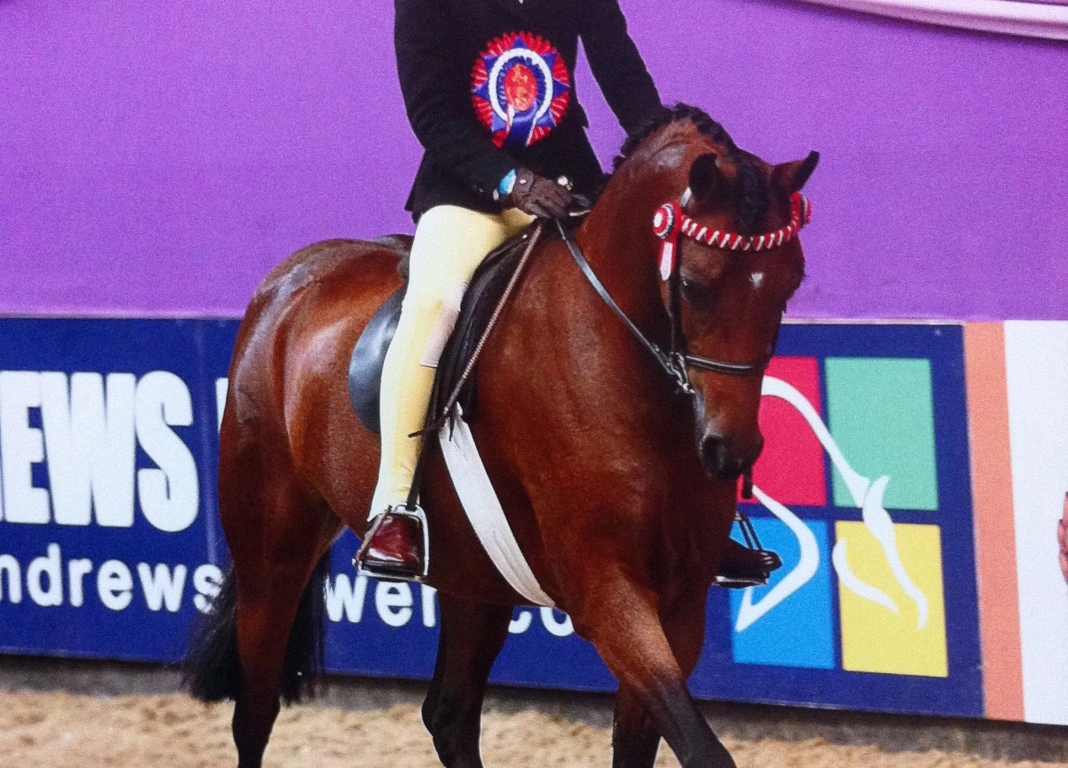Success for Emmerson Show Team