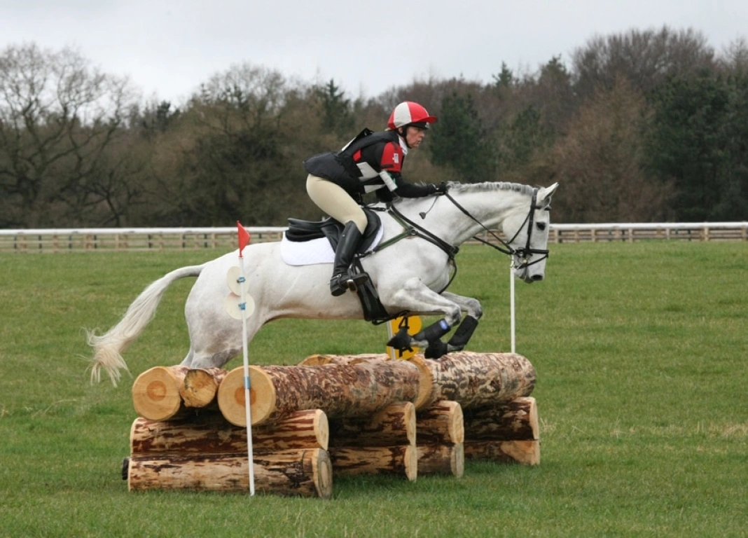 From Racehorse To Event Horse