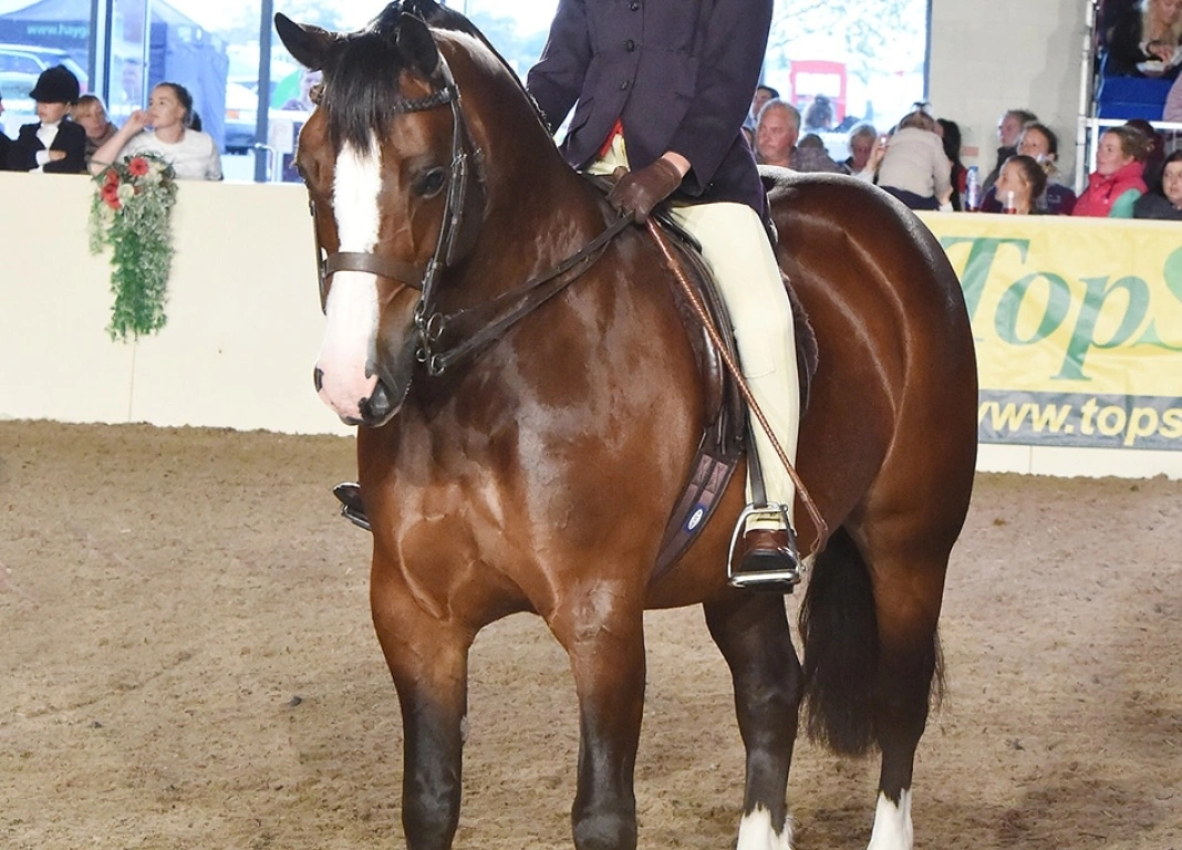 Success for Zara and her Ponies