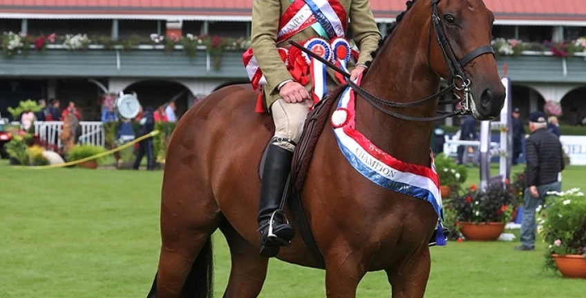PJ Casey Wins Supreme Hunter Championship at Dublin for the First Time