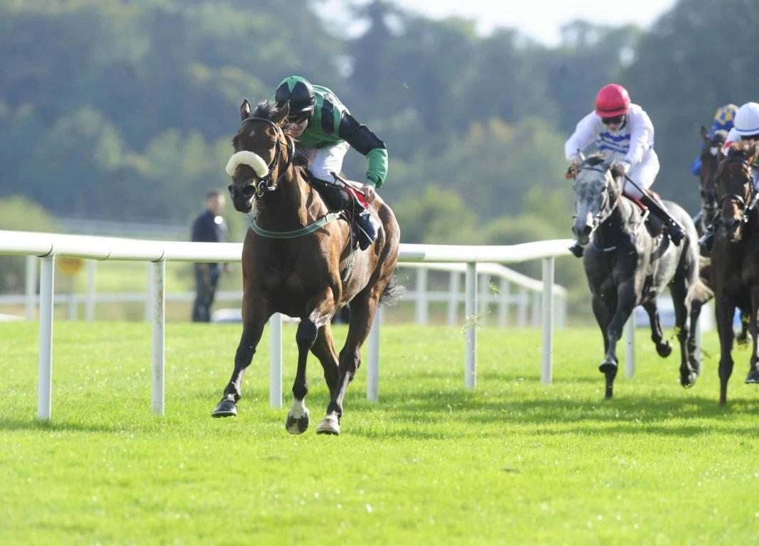Core Element Hits Top Form