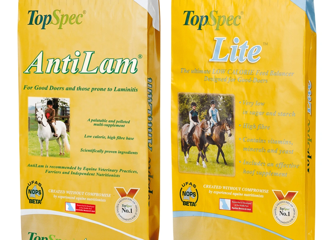 Spring Time Offers from TopSpec