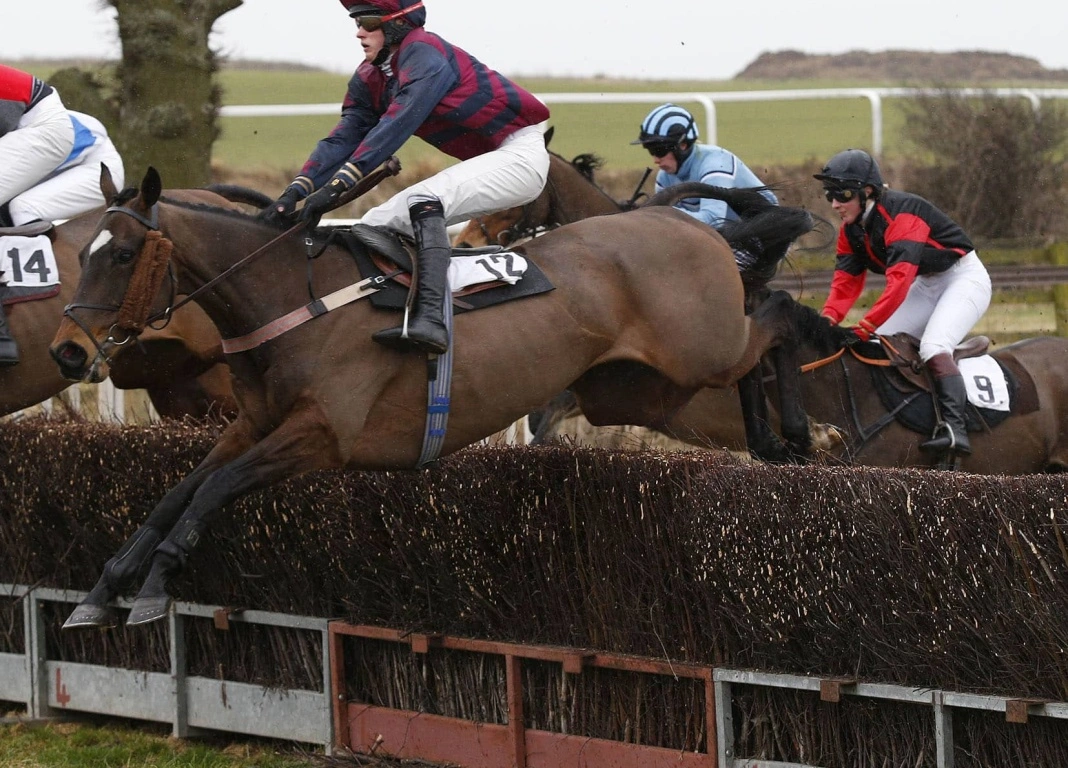 Oscar’s Certainly a Flyer!