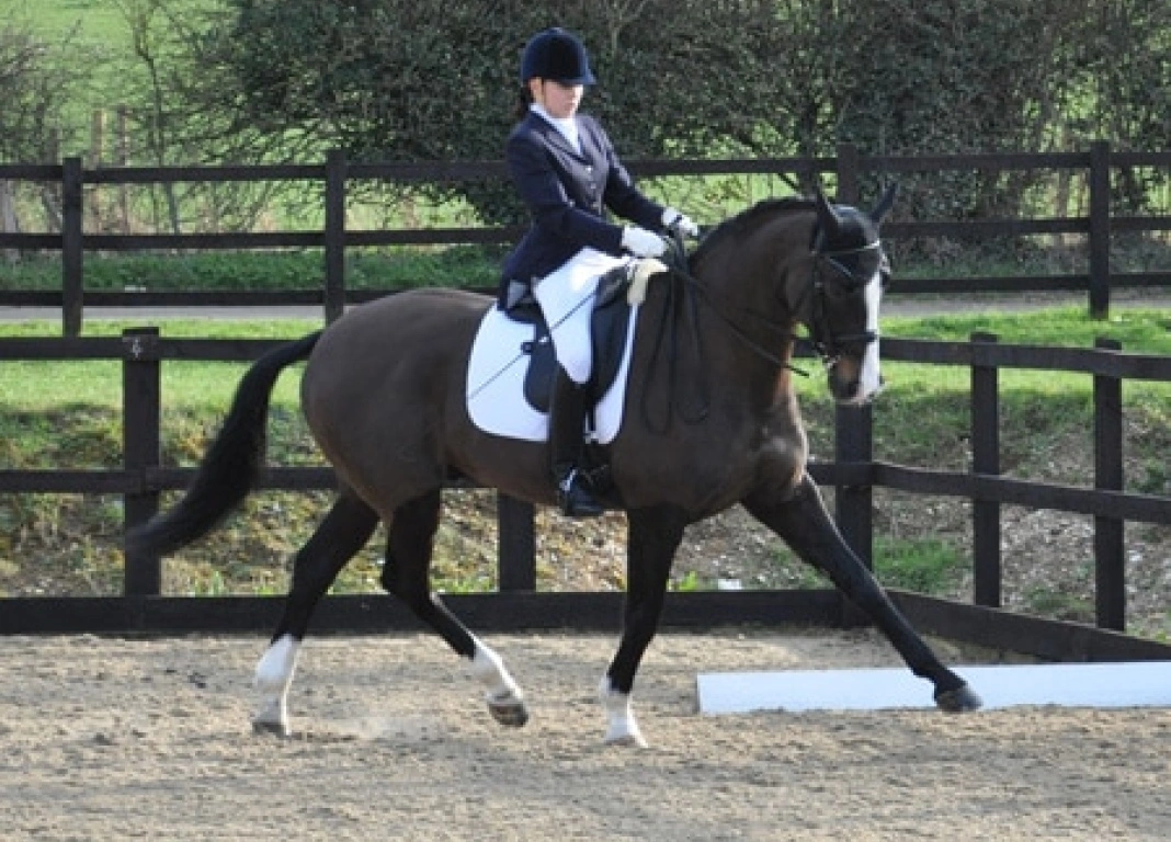 Daisy and Saint Swithens Winning Formula