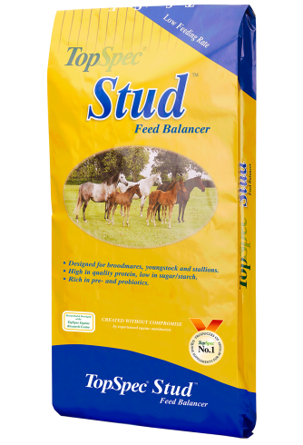 Stud Feed Balancer