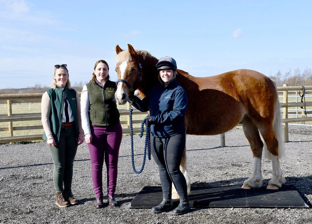 TopSpec Support Bransby Horses with Weighbridge