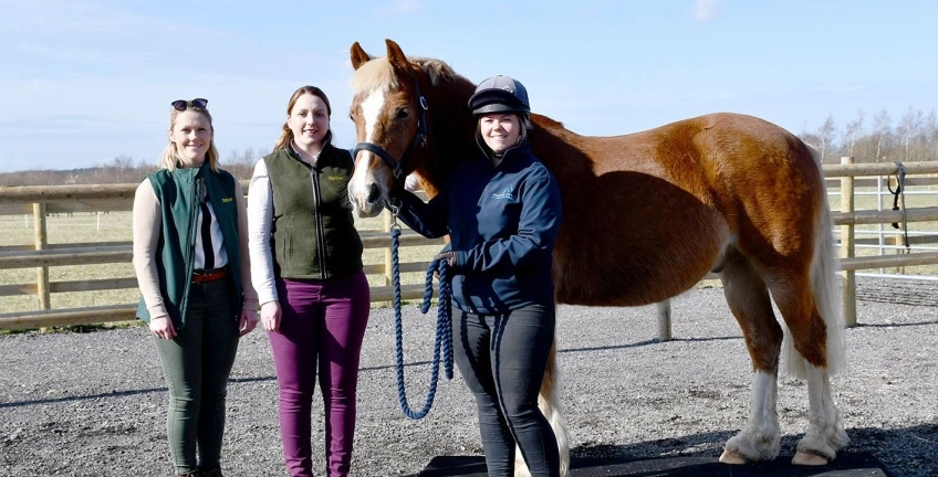 TopSpec Support Bransby Horses with Weighbridge