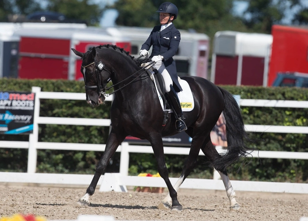 Anne Marie and Urbanus – Irish National Dressage Champions