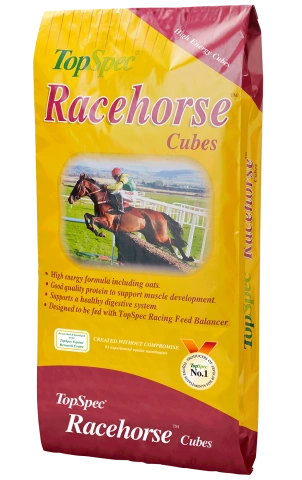 Racehorse Cubes