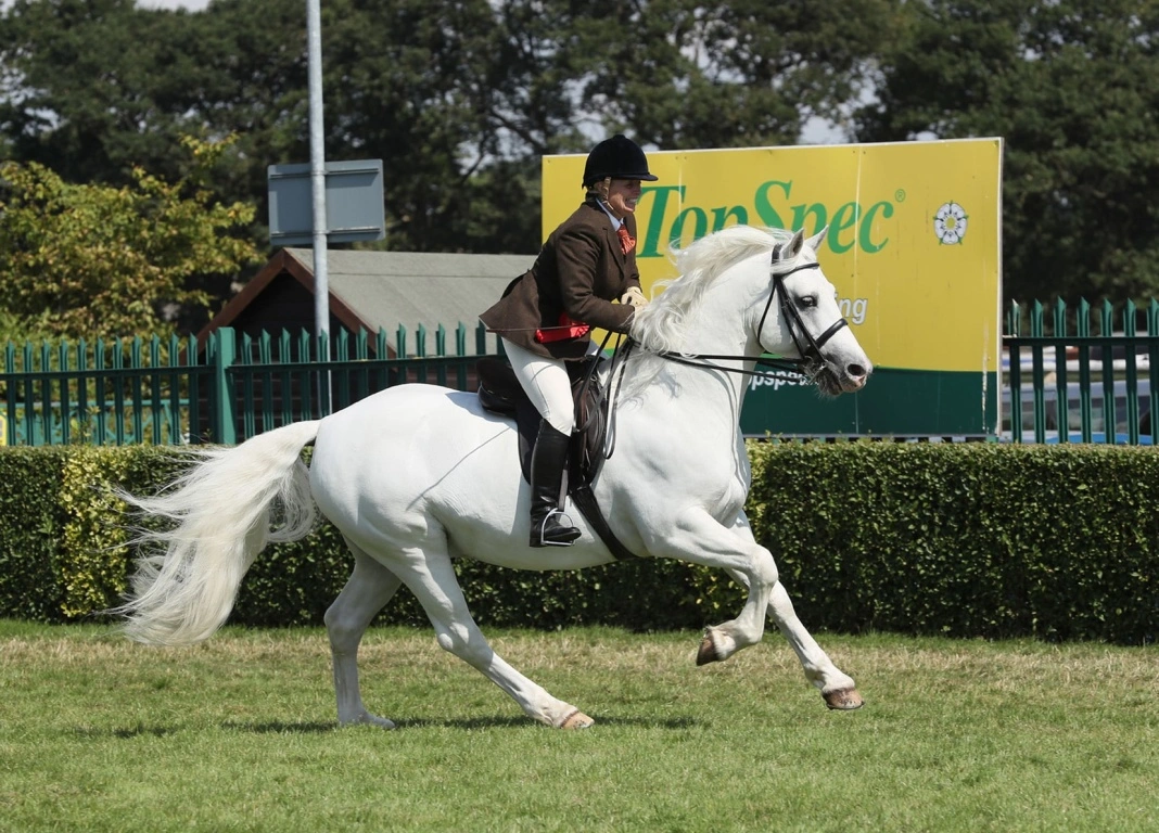 Castle Diceman Takes the Honours