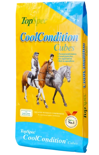 CoolCondition Cubes