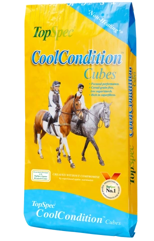 CoolCondition Cubes