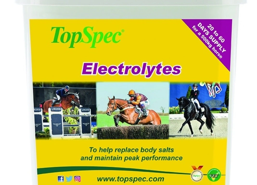New TopSpec Electrolytes