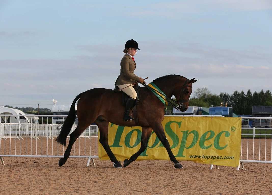 Megan Captures TopSpec Supreme Pretty Polly Championship for Second Time