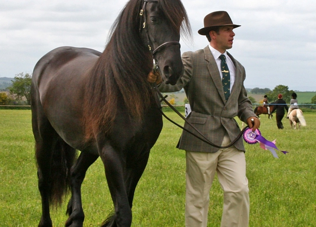 TopSpec Provides Super Condition For Elbrich