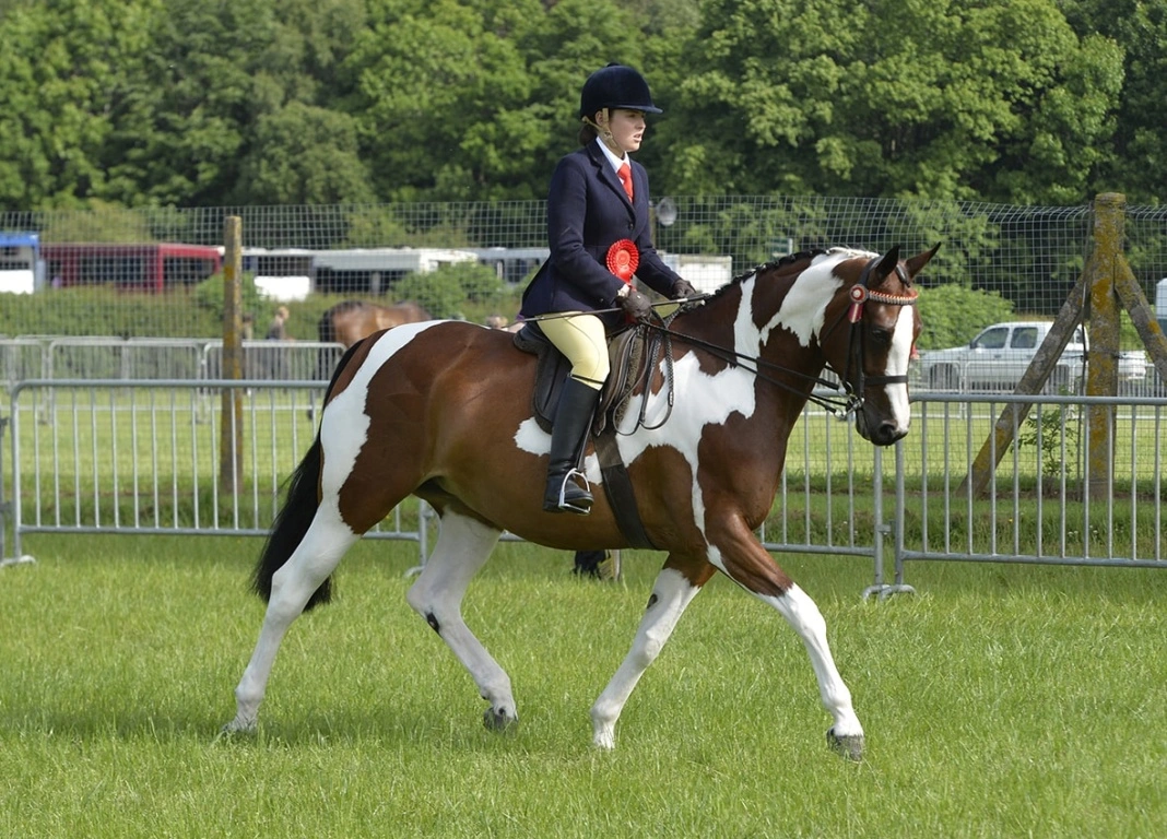 Fun Five Minutes With Louise Saywell