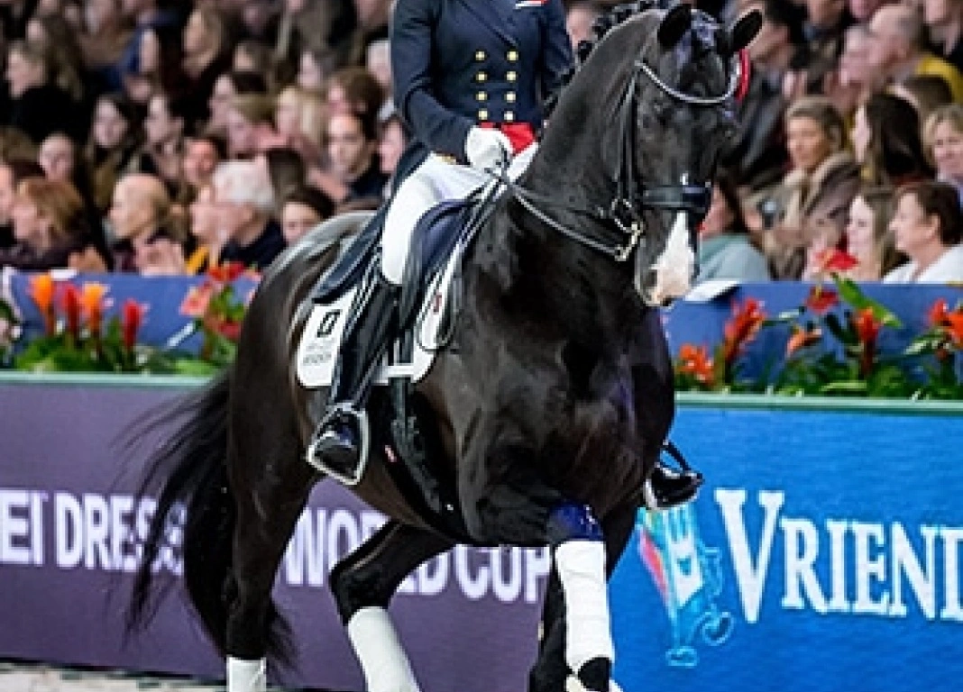 Van Olst Horses Join Team TopSpec