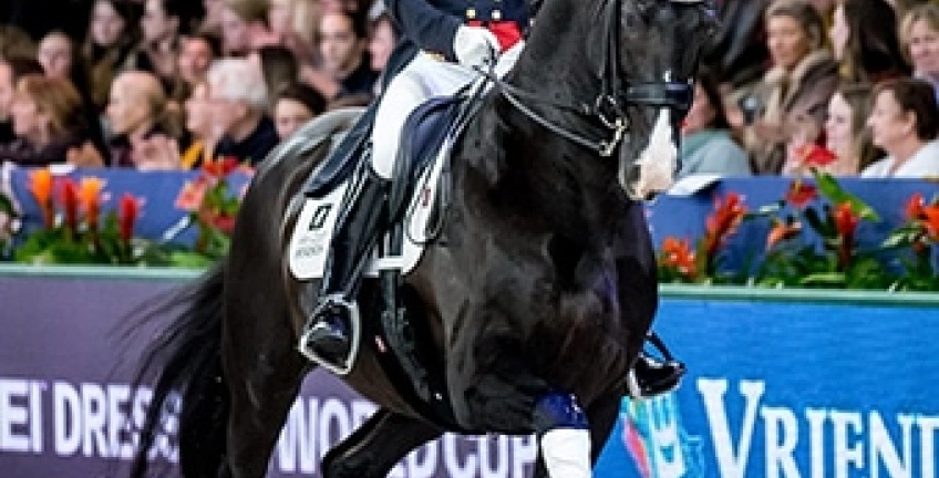 Van Olst Horses Join Team TopSpec
