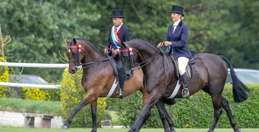 Royal International Horse Show Successes for Horses and Ponies Fed on TopSpec