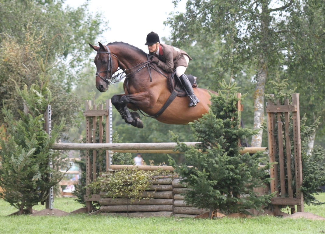 Working Hunter Champion