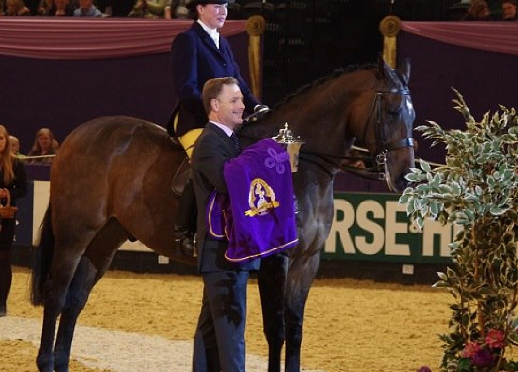 HOYS RESULTS