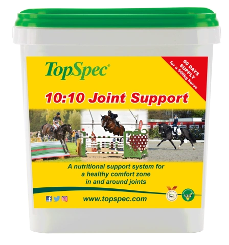 10:10 Joint Support