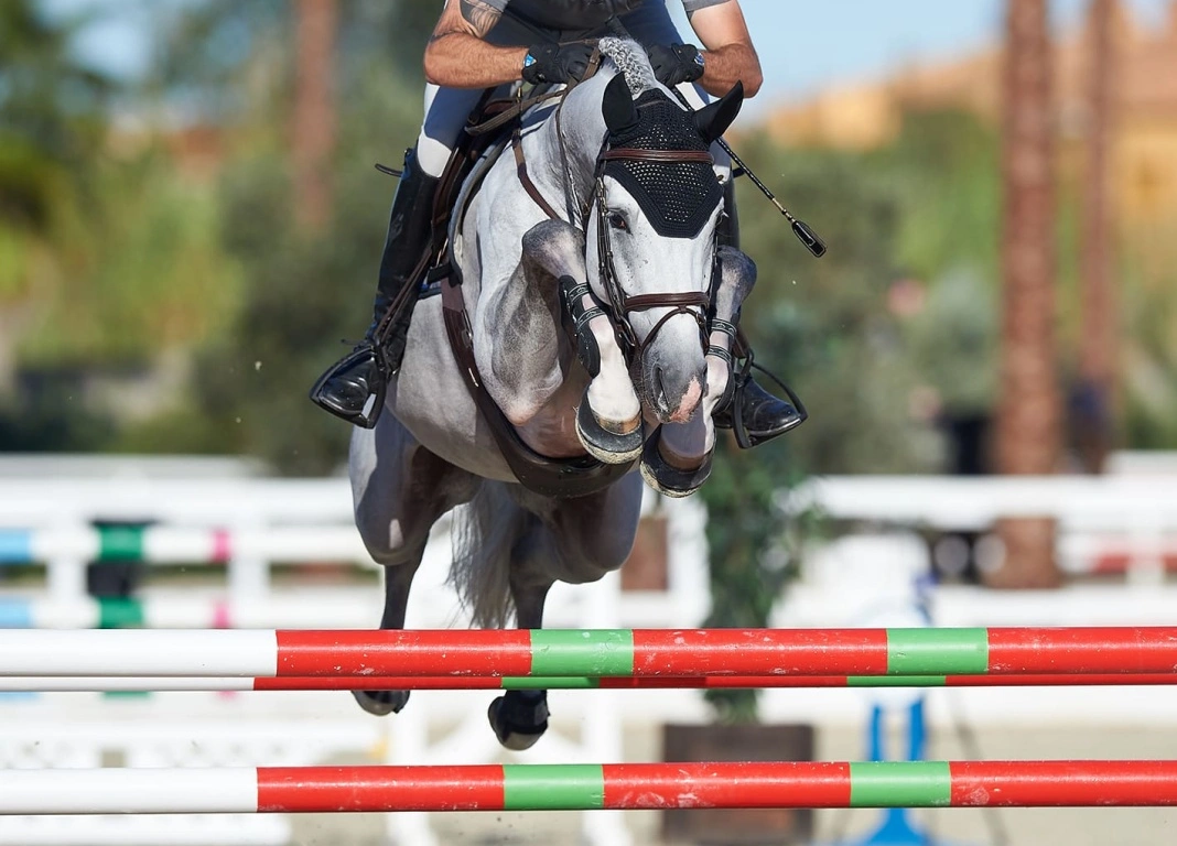 Brian Walker Wins the Five-year-old MET II Final