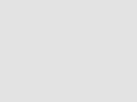 helpline icon