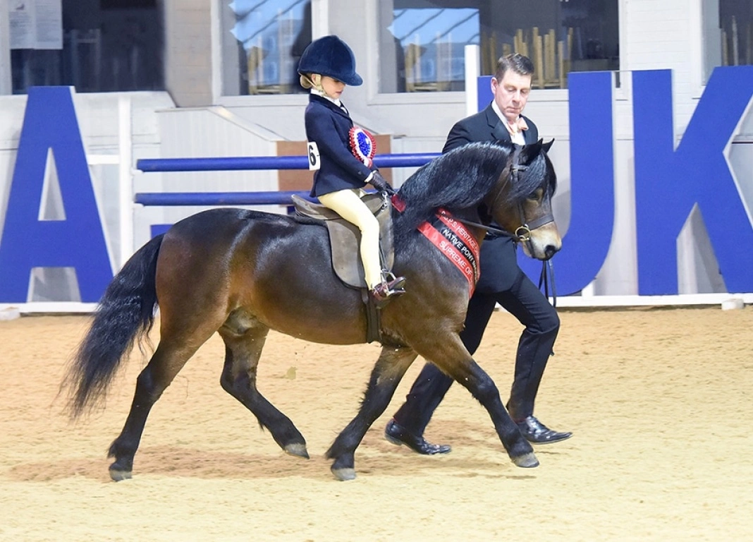 Supreme of Show First Time Shown