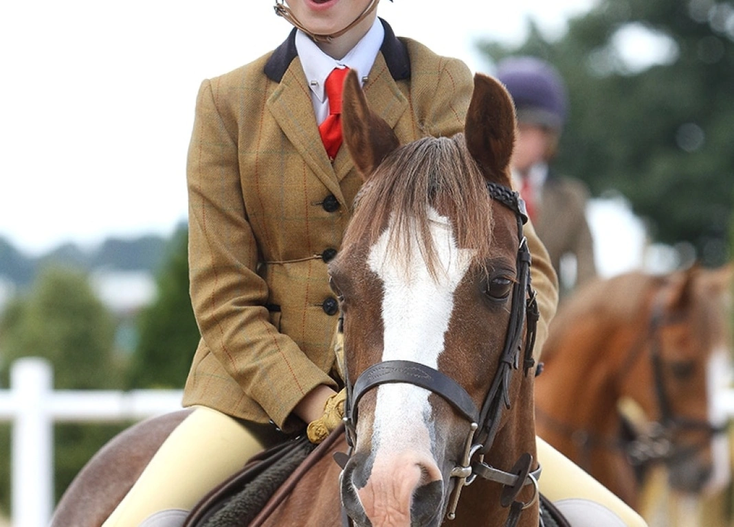 Georgie Heads for HOYS