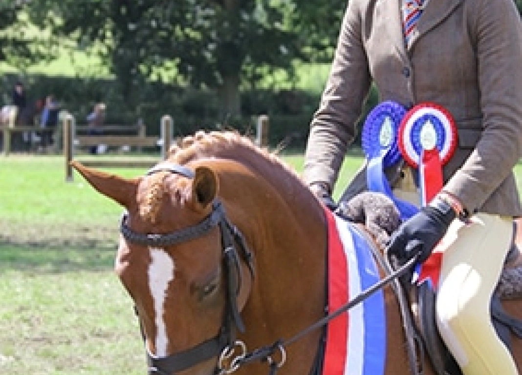 Championship Win for Matilda and Bella