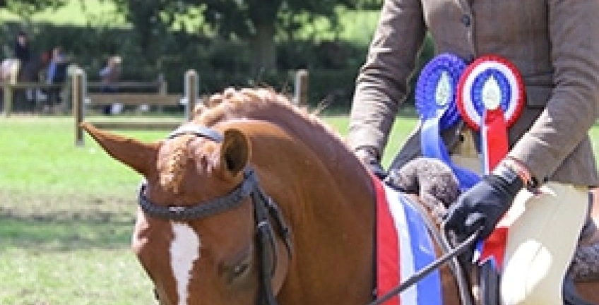 Championship Win for Matilda and Bella