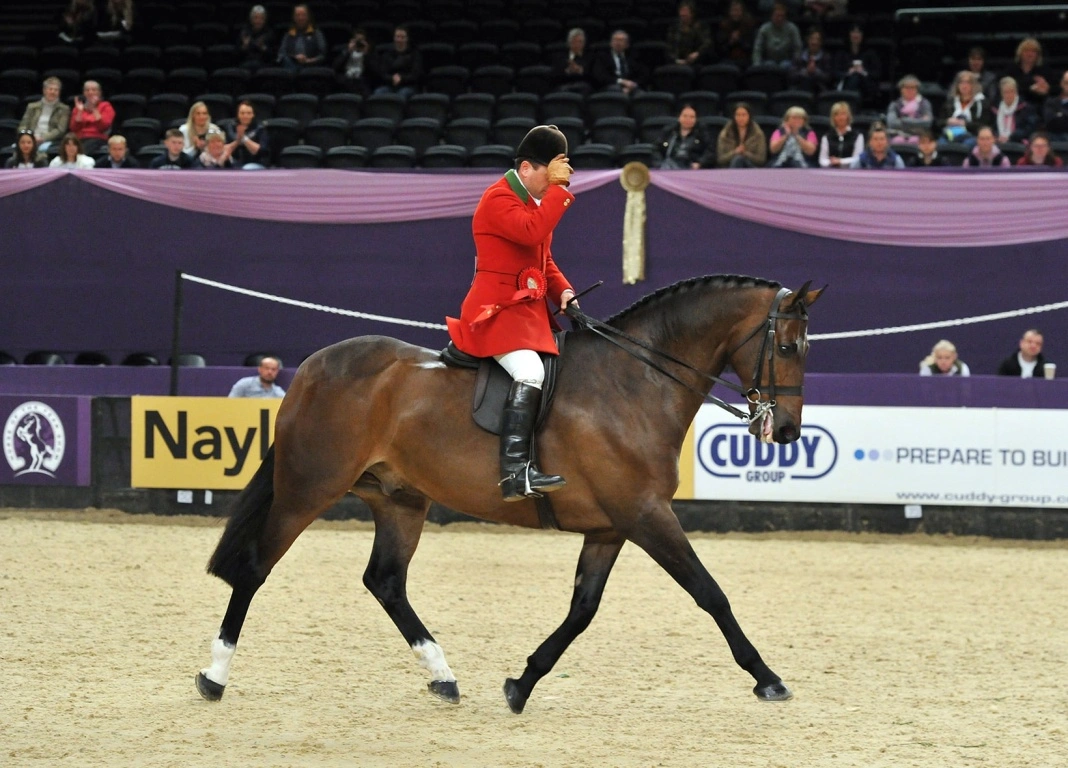 Record Number of Wins at Horse of the Year Show