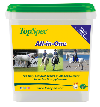 All-in-One