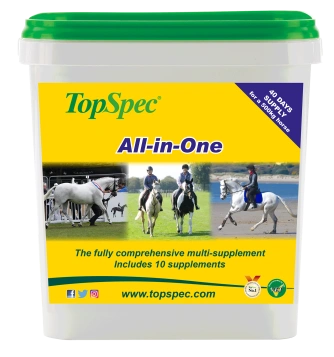 All-in-One