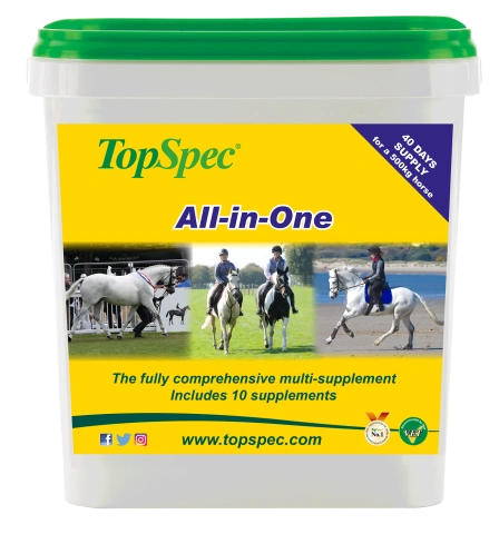 All-in-One