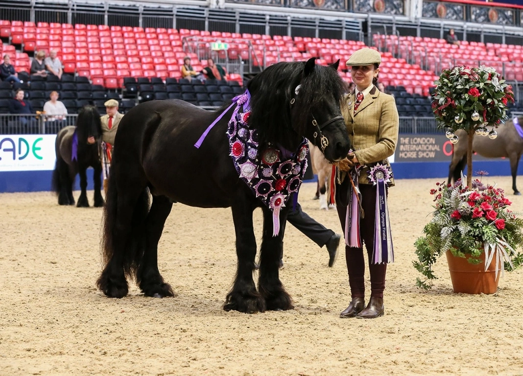 Guards Jester Battles the Odds to Reign Supreme at First Olympia