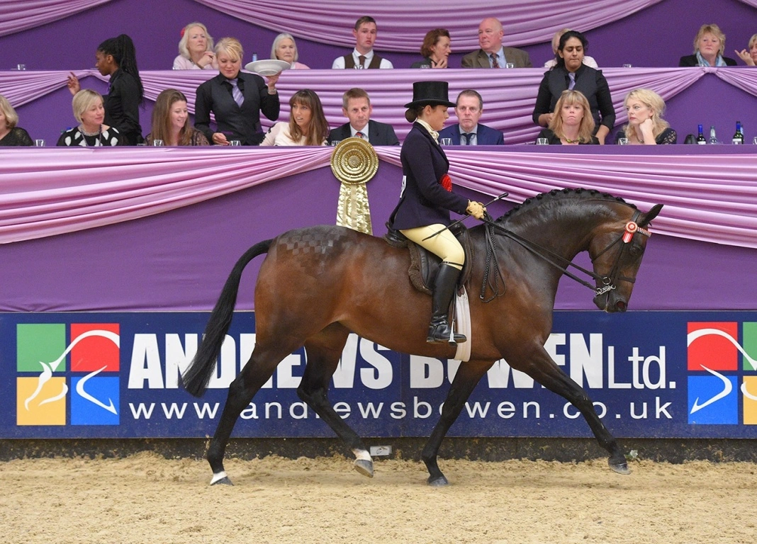 Top Tips on Training the Show Horse with Michaela Wood