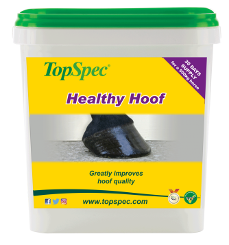 Healthy Hoof