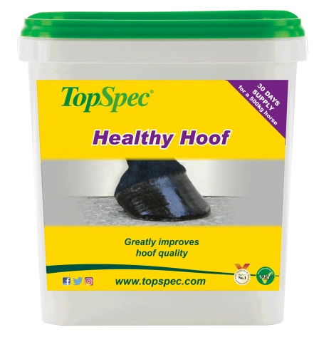 Healthy Hoof