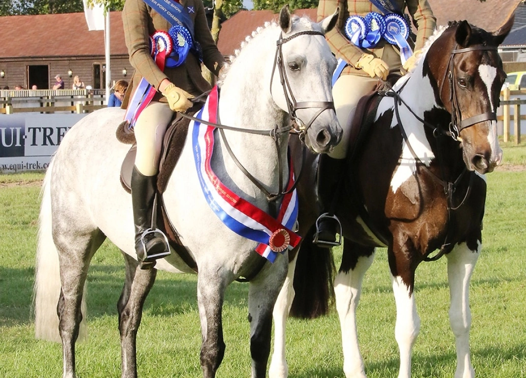 TopSpec Support Working Hunter Pony Classes at RIHS