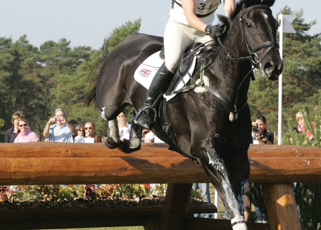 A Dream Comes True For TopSpec Sponsored Rider Nicola Wilson - Olympic Silver Medallist