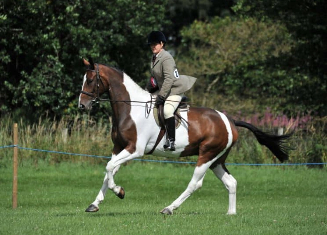 Oscar Wins The Face of TopSpec 2014!